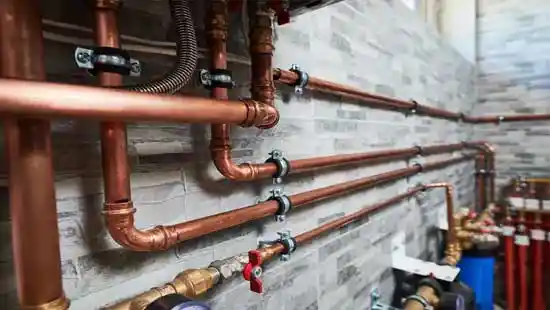 Expertise et conseil